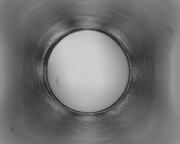 X0000113151074200909181746