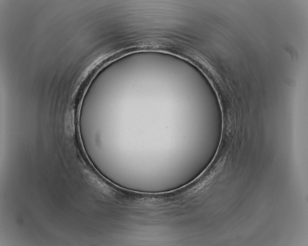 X0000113151075200909181746