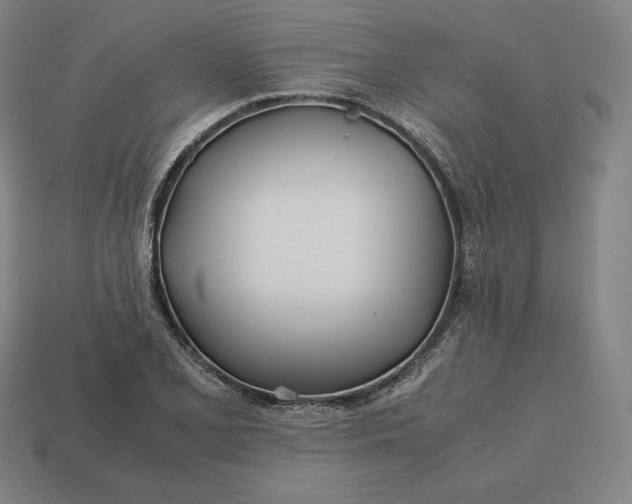 X0000113151077200909181746