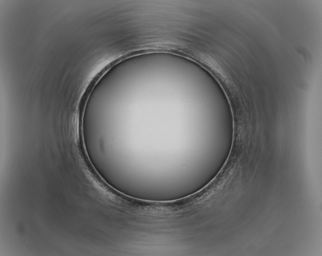 X0000113151079200909181746