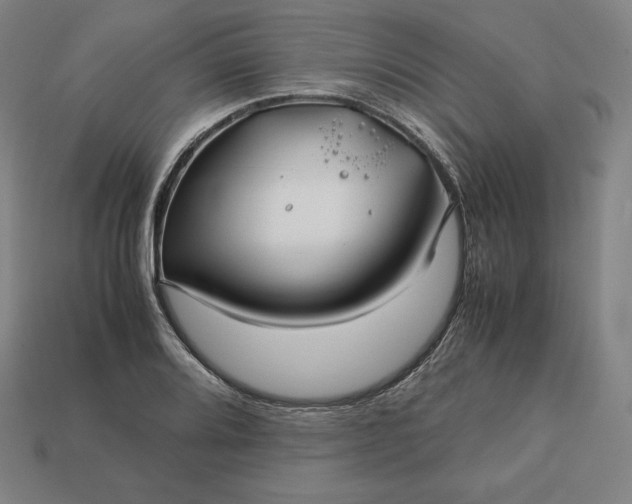 X0000113151080200909181745