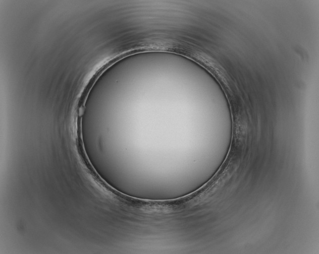 X0000113151083200909181745