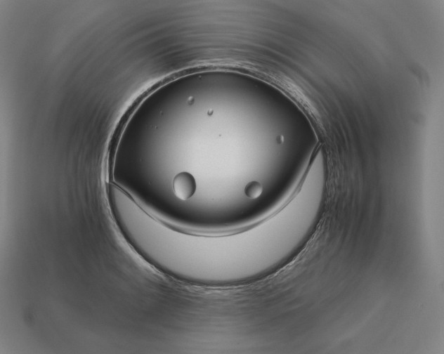 X0000113151084200909181745