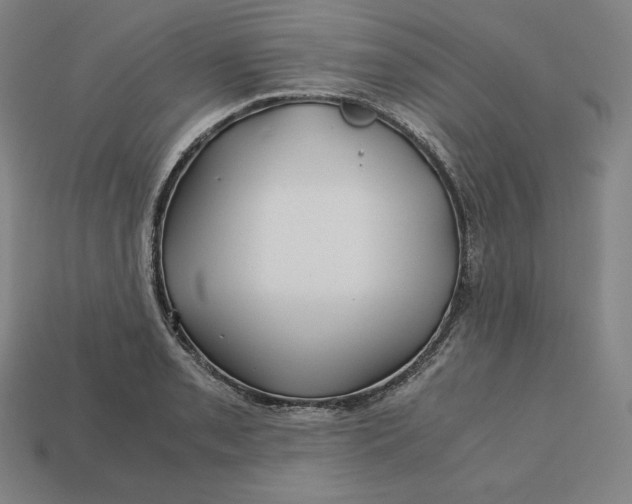 X0000113151085200909181745