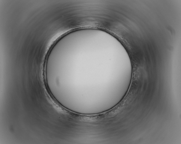 X0000113151086200909181745