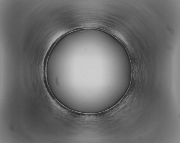 X0000113151087200909181745