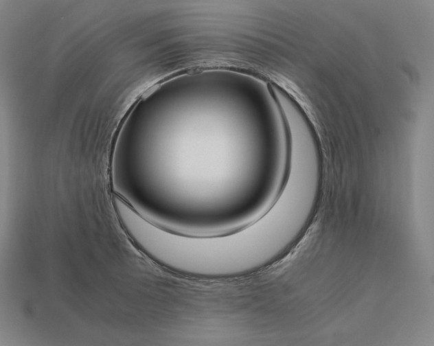 X0000113151089200909181745