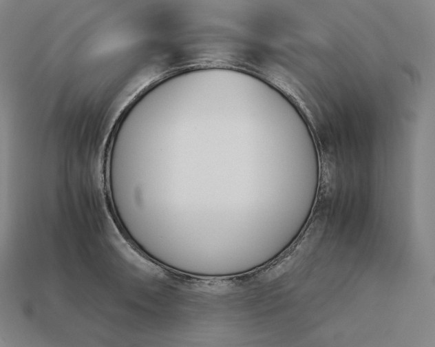 X0000113151090200909181745