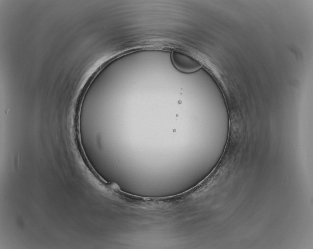 X0000113151091200909181745