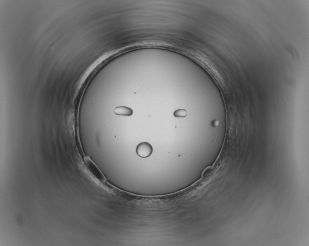 X0000113151092200909181745