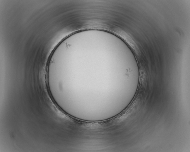 X0000113151094200909181745