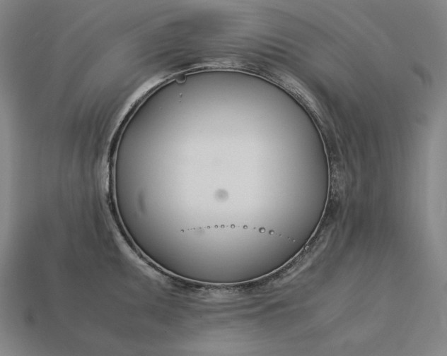 X0000113151095200909181745