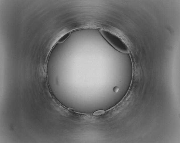 X0000113151097200909181745