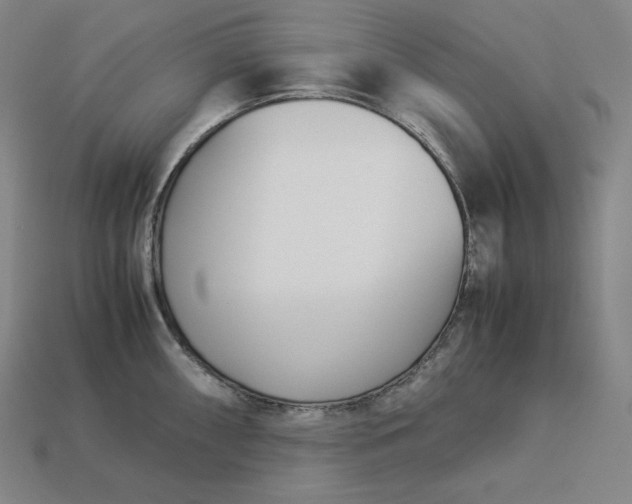 X0000113151098200909181745