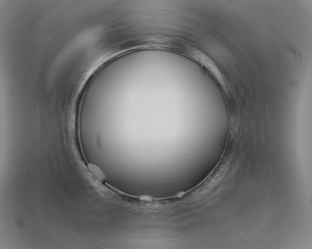 X0000113151099200909181745