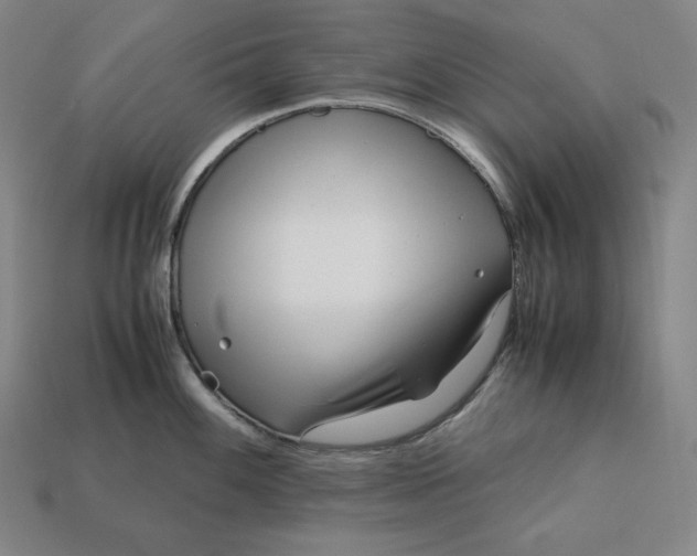 X0000113151100200909181745