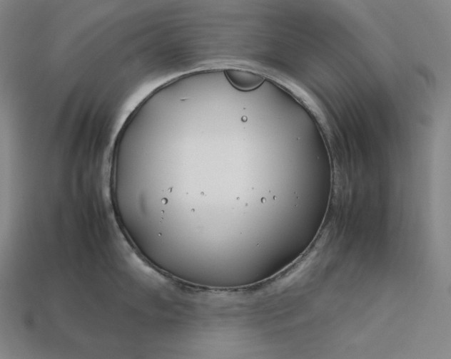 X0000113151102200909181745