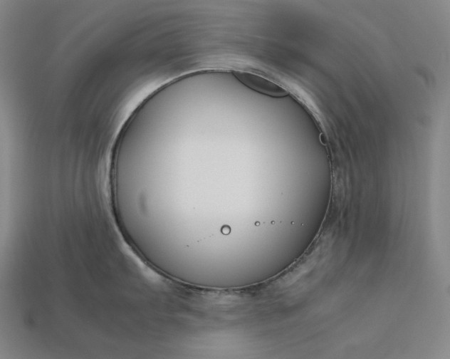 X0000113151103200909181745