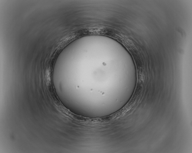 X0000113151106200909181745