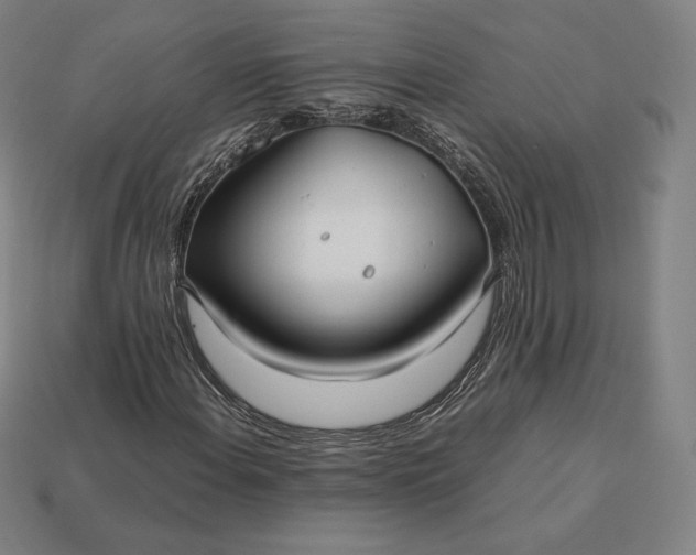 X0000113151108200909181745