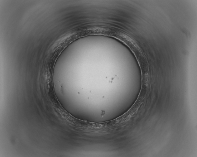 X0000113151111200909181745