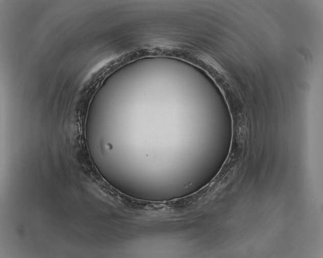 X0000113151112200909181745