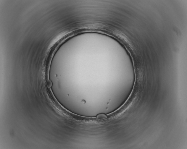 X0000113151114200909181745