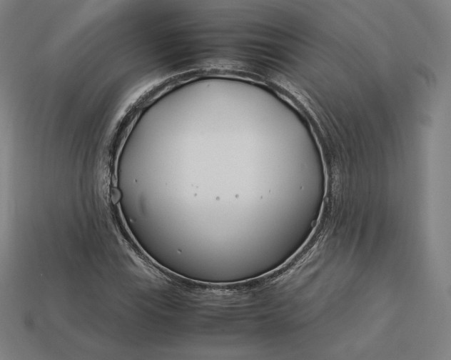 X0000113151115200909181745