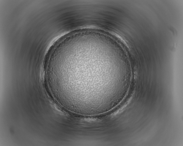 X0000113151117200909181745