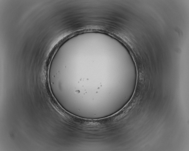 X0000113151119200909181745