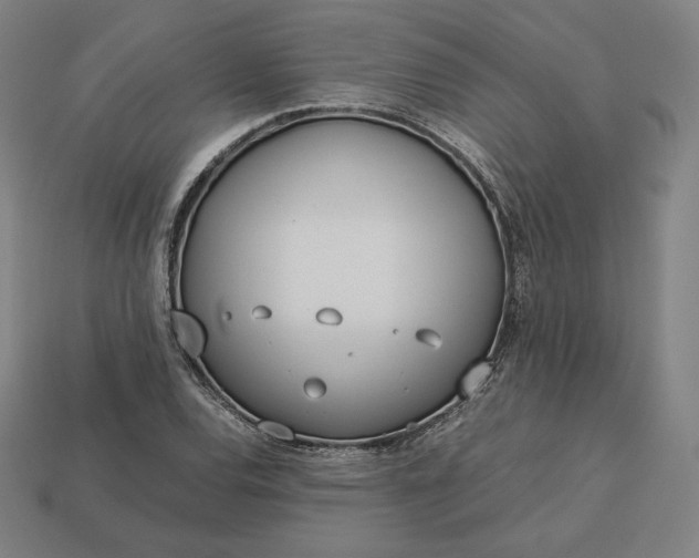 X0000113151120200909181745