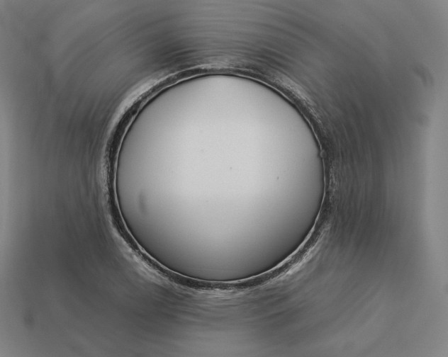 X0000113151122200909181745