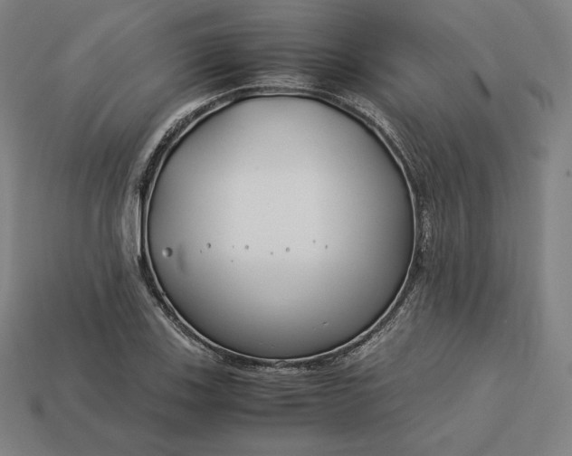 X0000113151123200909181745