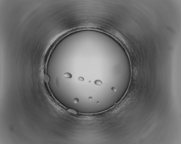 X0000113151124200909181745