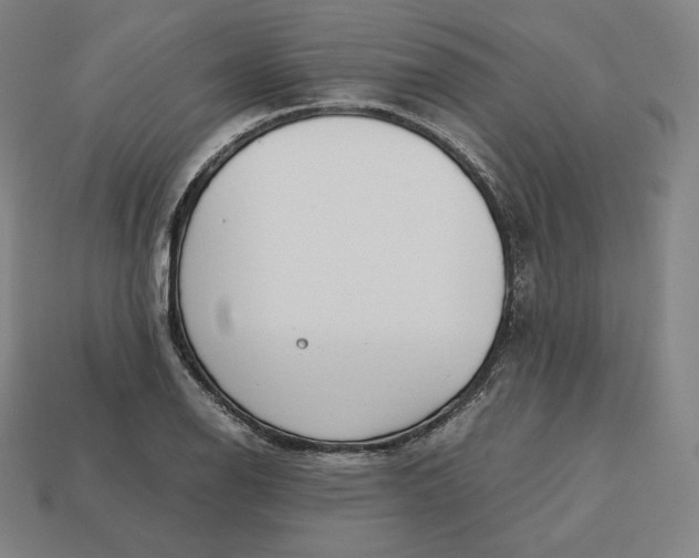 X0000113151126200909181745