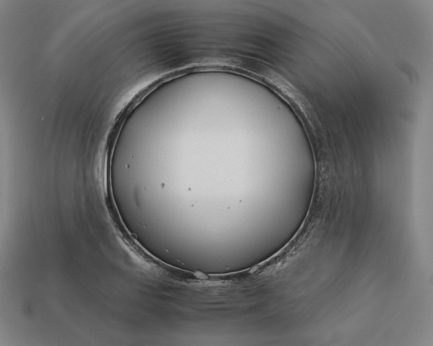 X0000113151127200909181745