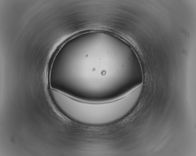 X0000113151128200909181745