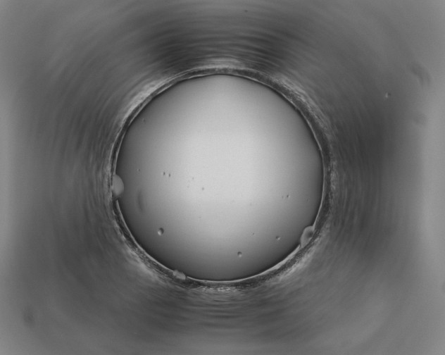 X0000113151129200909181745