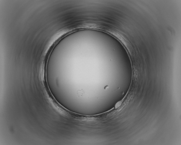 X0000113151131200909181745