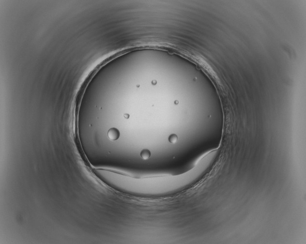 X0000113151132200909181745