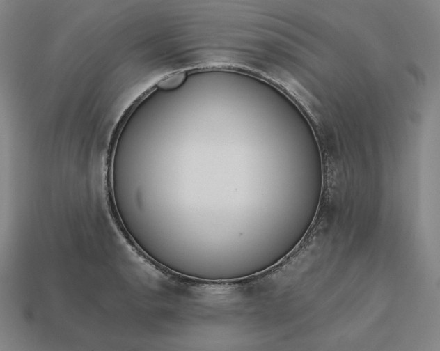 X0000113151134200909181745