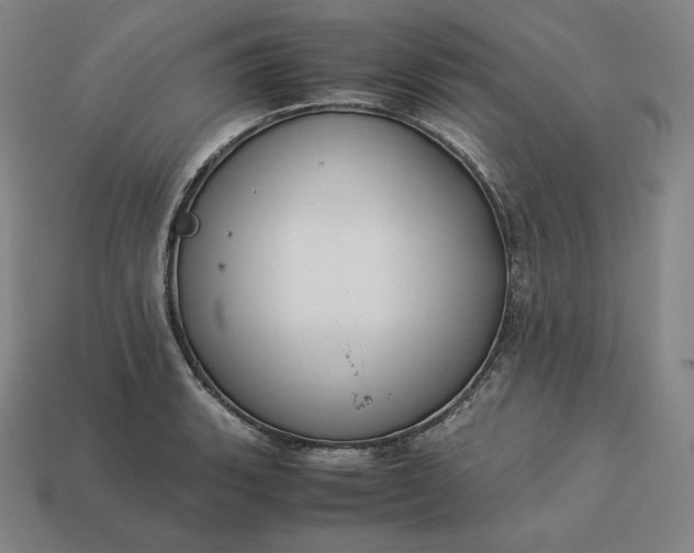 X0000113151135200909181745