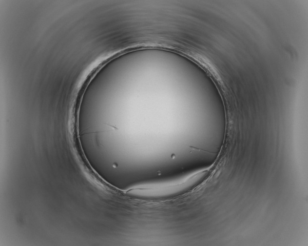 X0000113151136200909181745