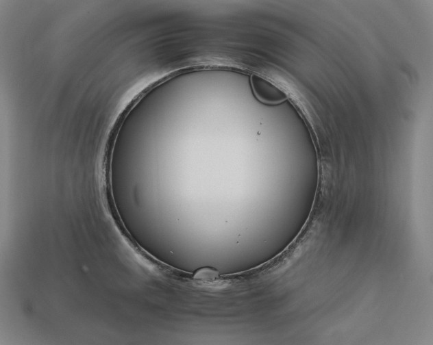 X0000113151141200909181745