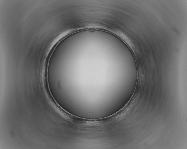 X0000113151142200909181745