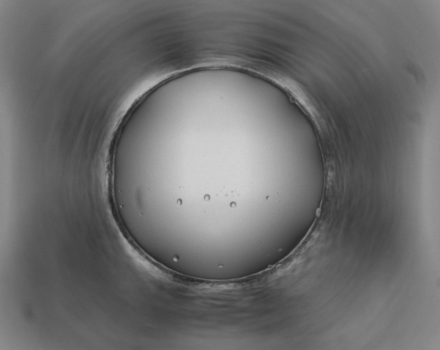 X0000113151143200909181745