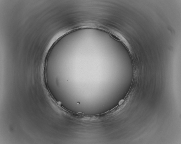 X0000113151146200909181745