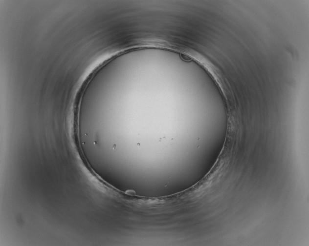 X0000113151147200909181745