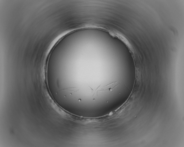 X0000113151148200909181745