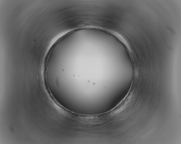 X0000113151149200909181745